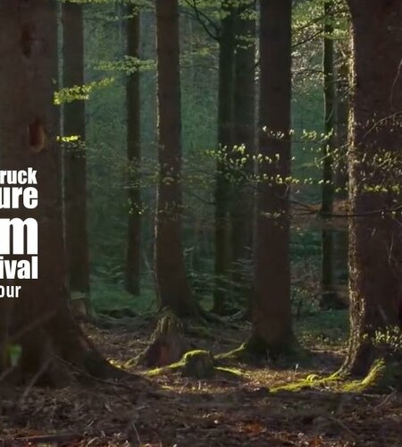 ©Lisa Eder - Der Wilde Wald - Innsbruck Nature Film Festival